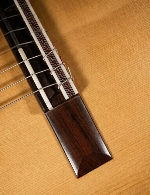 The elevated fingerboard, flowing into the top